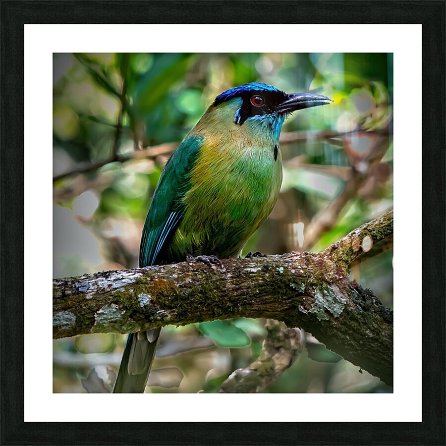 Jungle Jewel Picture Frame print