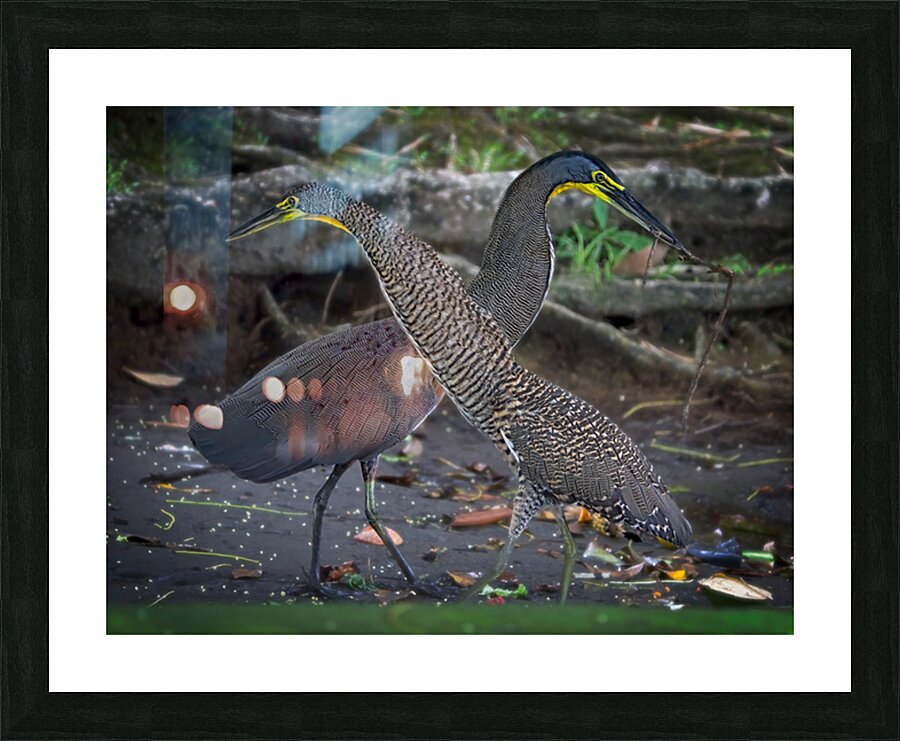 The Twin Dancers Picture Frame print