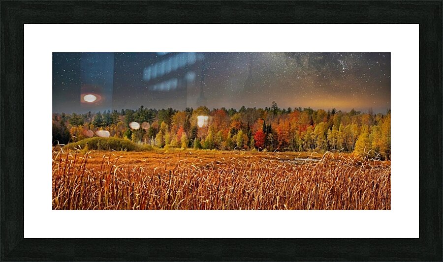 Autumn Forest Under a Starry Sky Picture Frame print