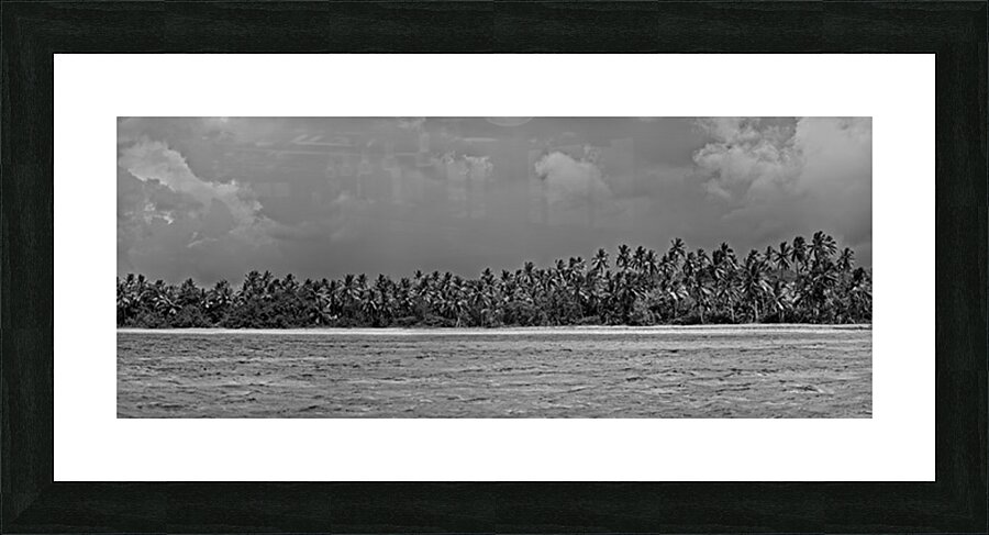 Palm Forest in Black & White Picture Frame print