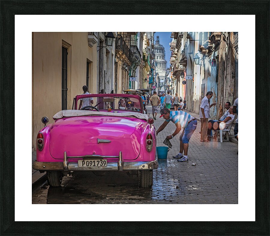 Washing the Pink Convertible Picture Frame print