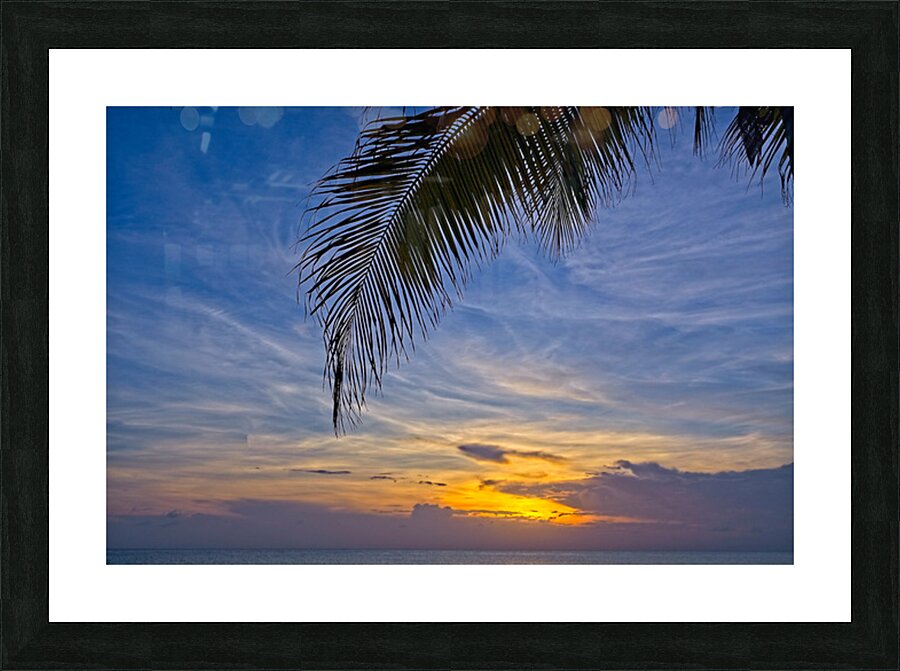 Palm-Framed Sunset Picture Frame print