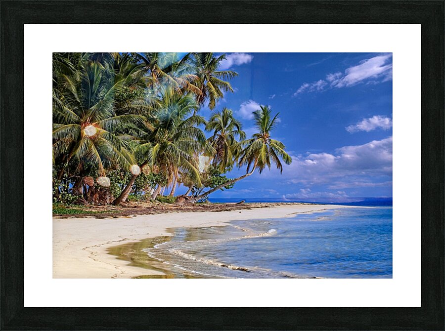 Tropical Shoreline Paradise Picture Frame print