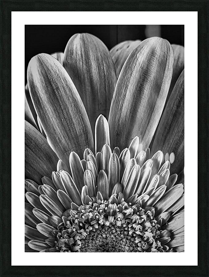 Bloom Picture Frame print