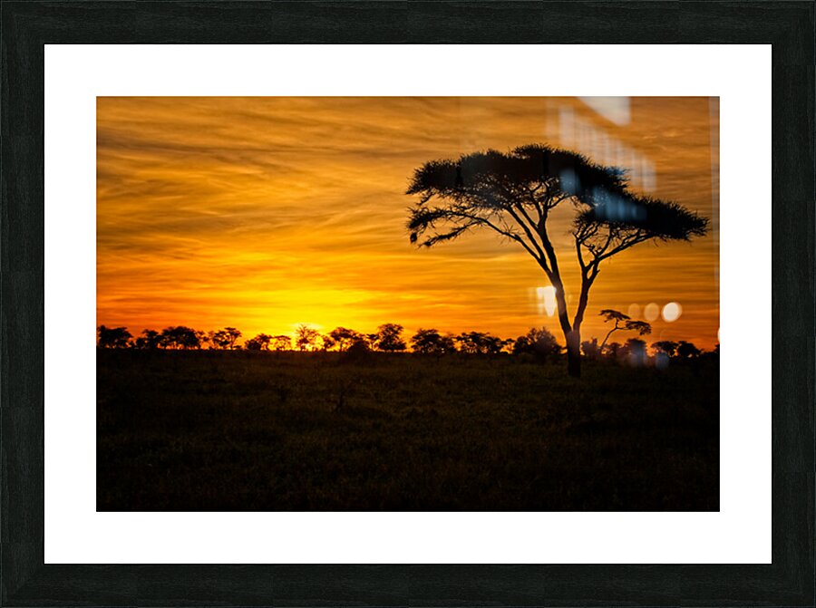 Savanna Gold Picture Frame print
