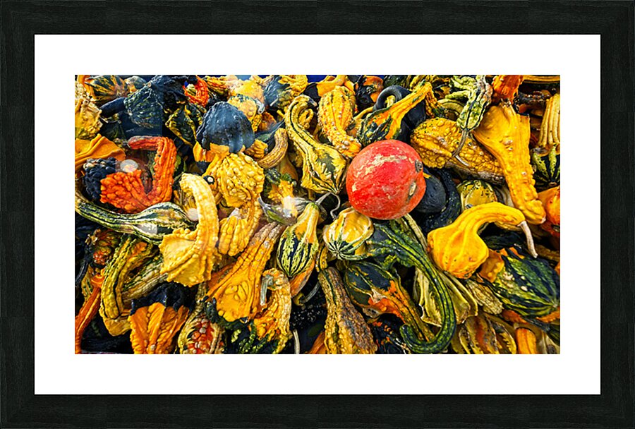 Harvest Chaos Picture Frame print