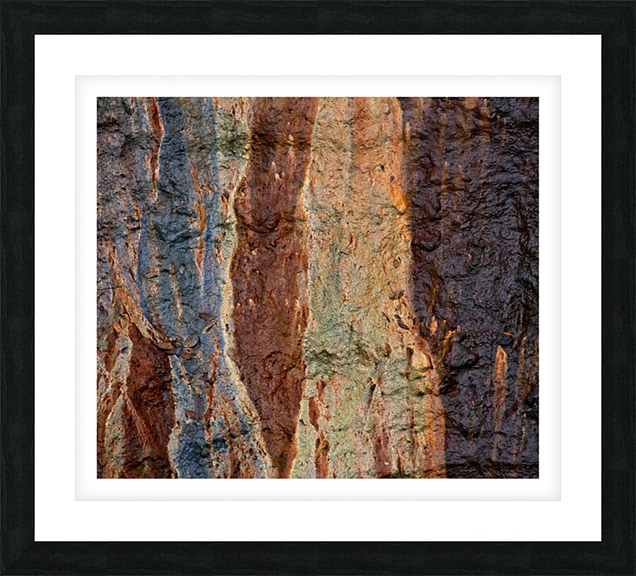 Earth’s Palette Picture Frame print