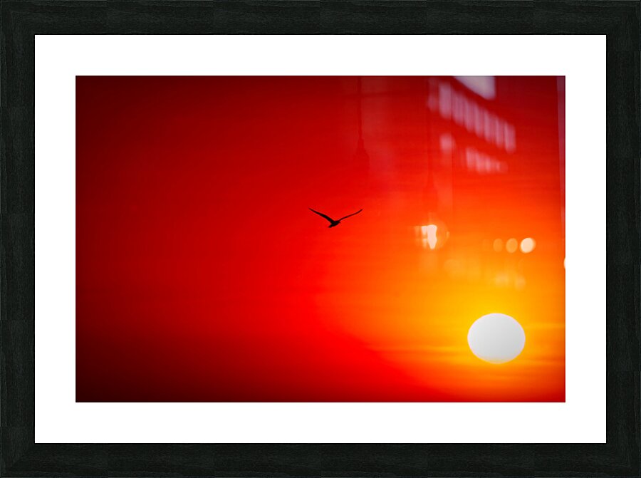 Flight Into the Fire Sky Picture Frame print