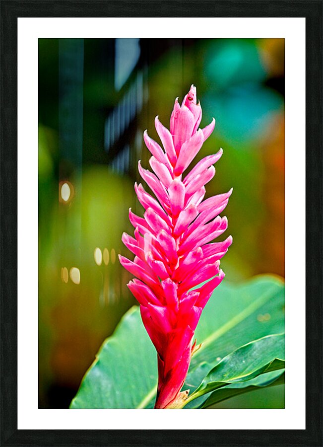 Jungle Bloom Elegance Picture Frame print