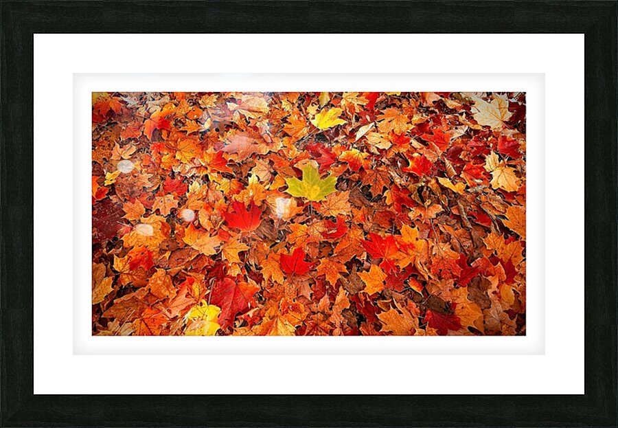 Autumn Carpet Picture Frame print