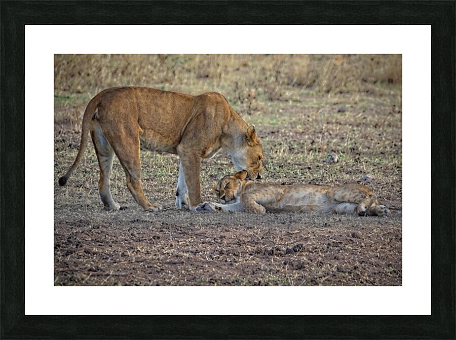 Mother’s Nudge Picture Frame print