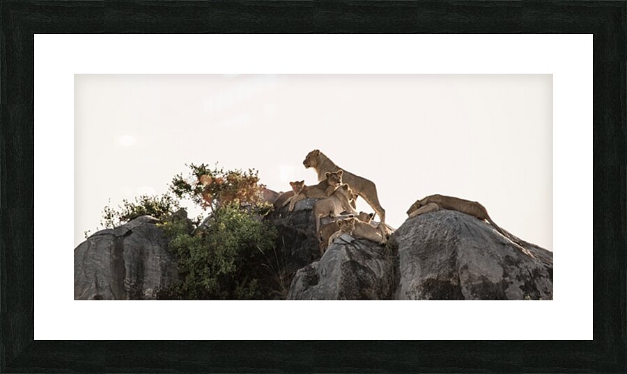 Pride on the Rocks Picture Frame print