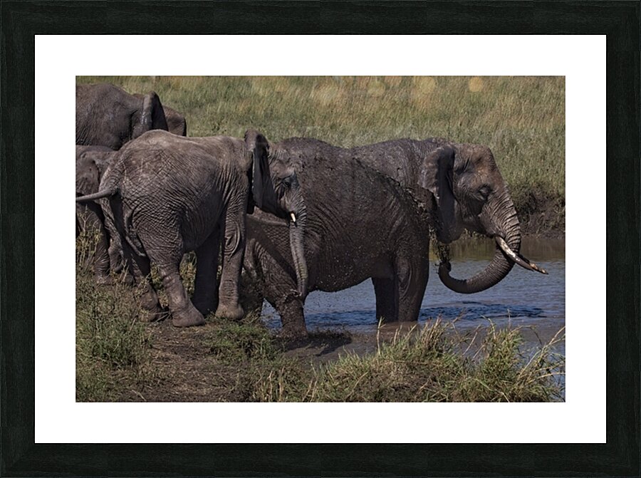Mud Bath Joy Picture Frame print