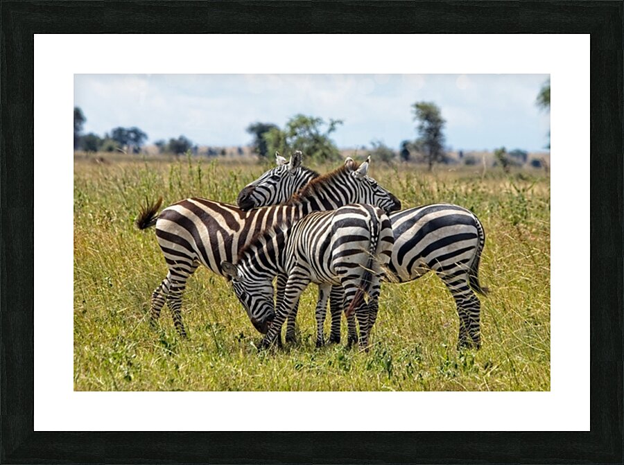 Striped Harmony Picture Frame print