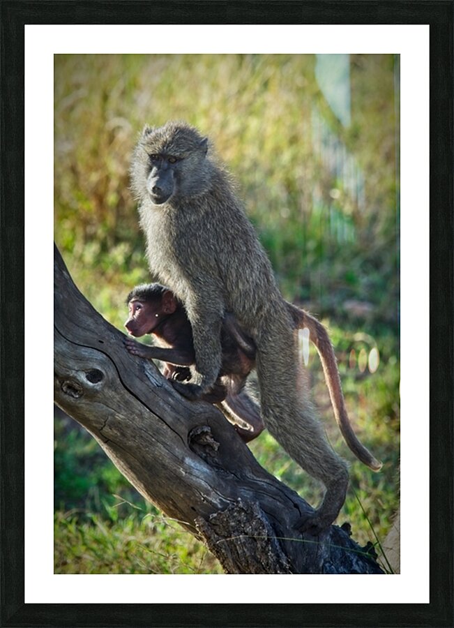 Mother’s Hold Picture Frame print