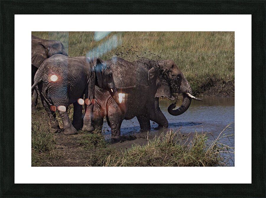 Mud Bath Ritual Picture Frame print