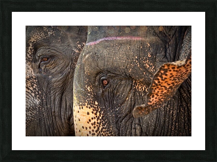 Ancient Companions Picture Frame print