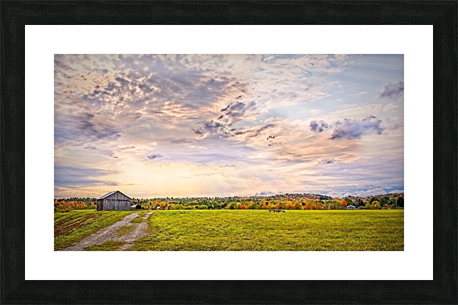 Golden Hour Over the Meadow Picture Frame print