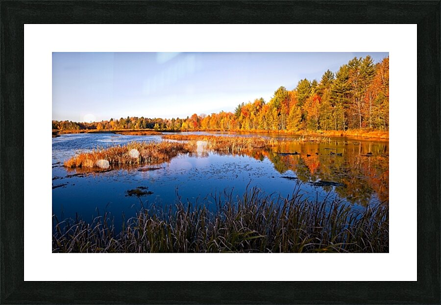 Autumn Reflections Picture Frame print