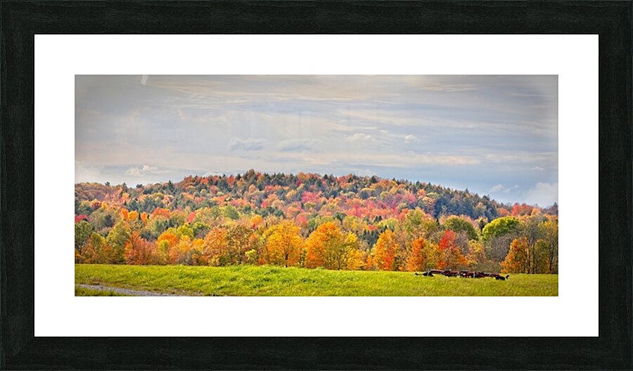  Autumn’s Quiet Meadow Picture Frame print