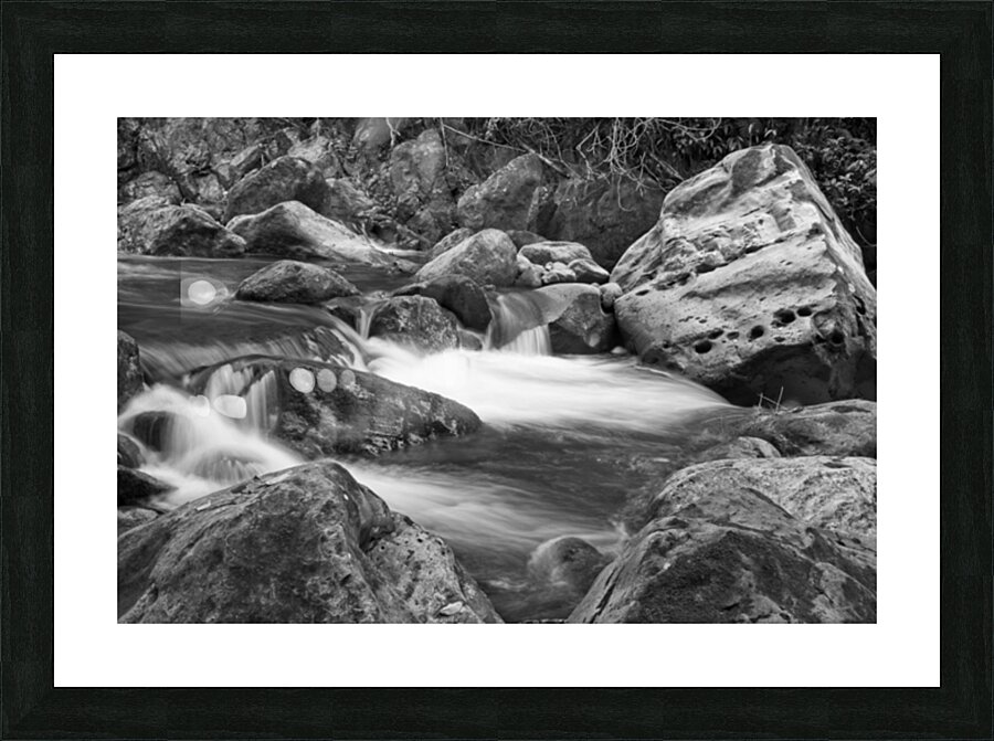 Nature’s Soft Flow Picture Frame print