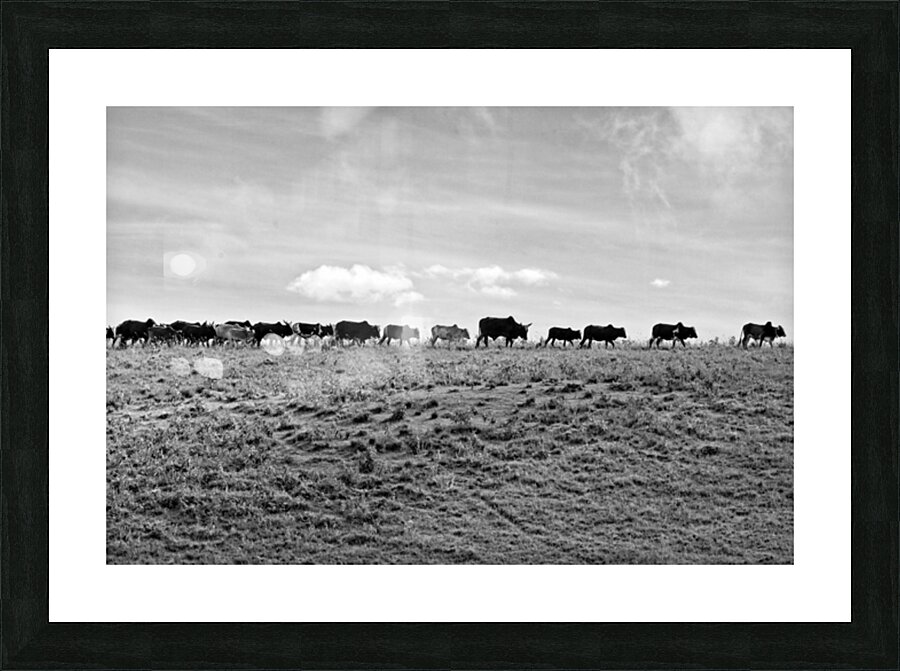 The Long Walk Home Picture Frame print