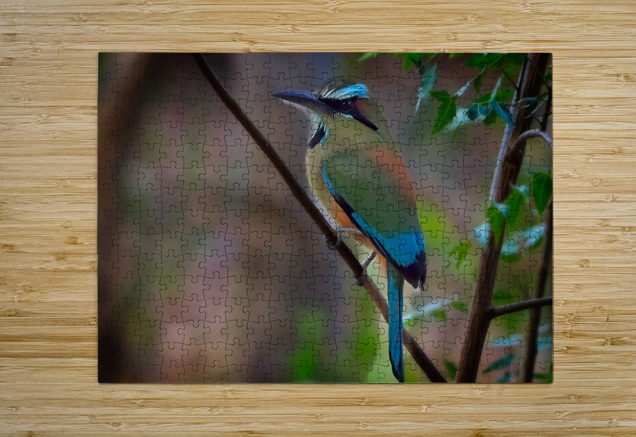 Tropical Daydream Chirag Pandya Puzzle printing