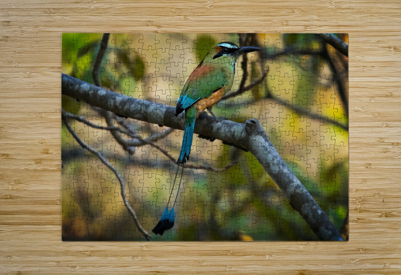 Tropical Whisper Chirag Pandya Puzzle printing