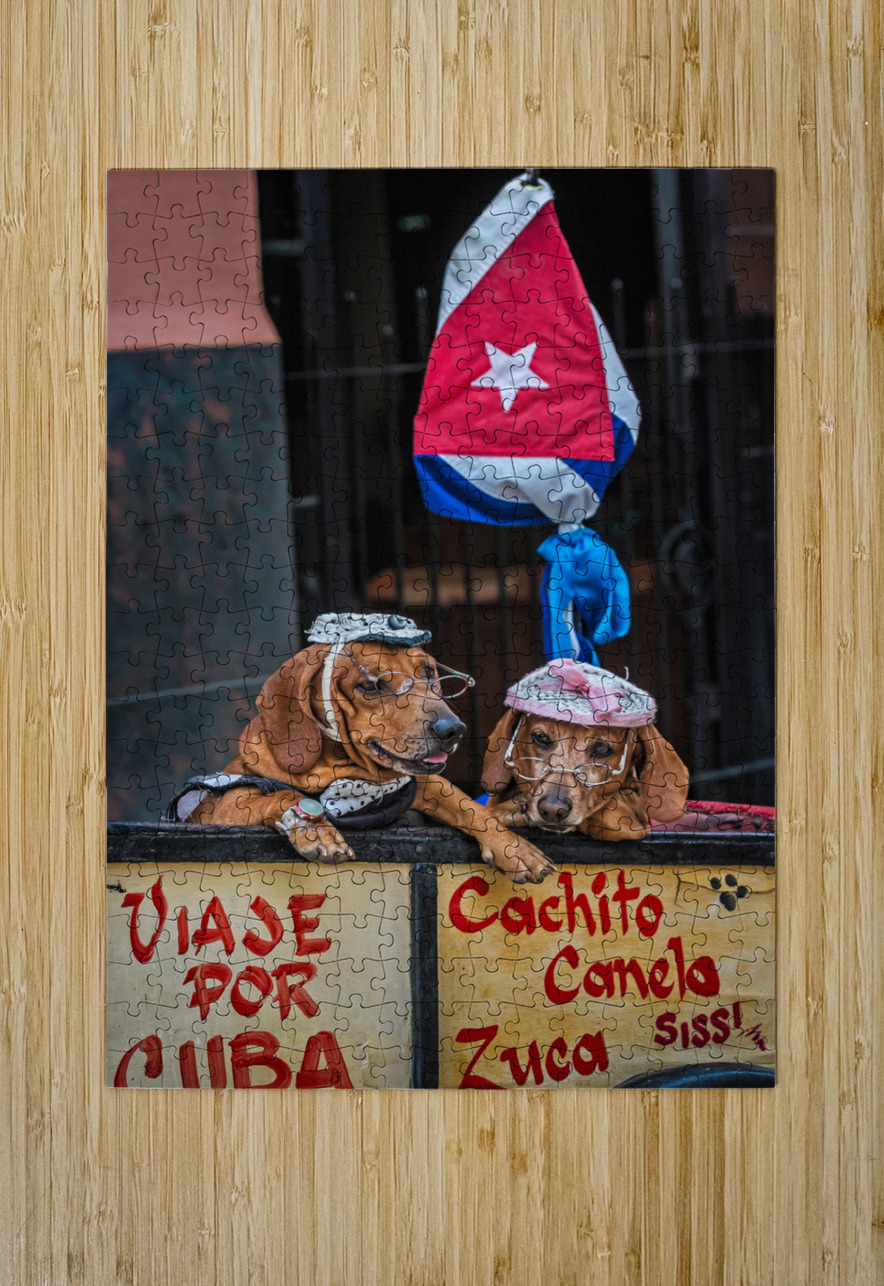 Cuban Companions Chirag Pandya Puzzle printing