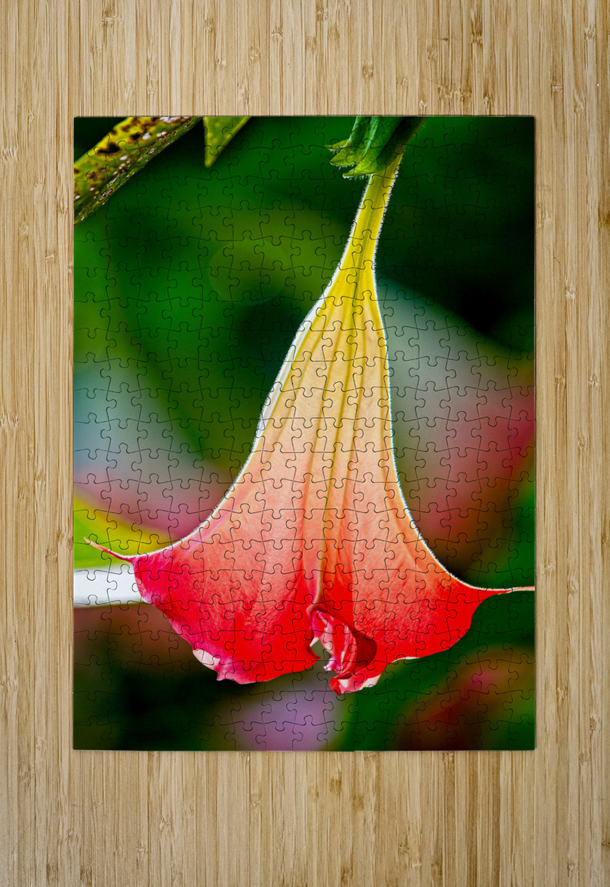 Angel’s Trumpet Glow Chirag Pandya Puzzle printing