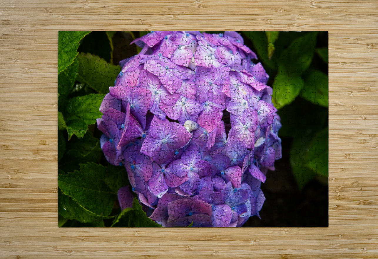 Purple Bloom Chirag Pandya Puzzle printing