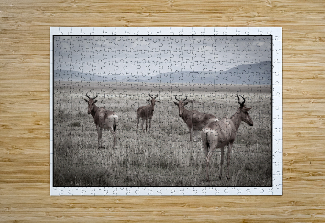 Antelope on the Plains Chirag Pandya Puzzle printing