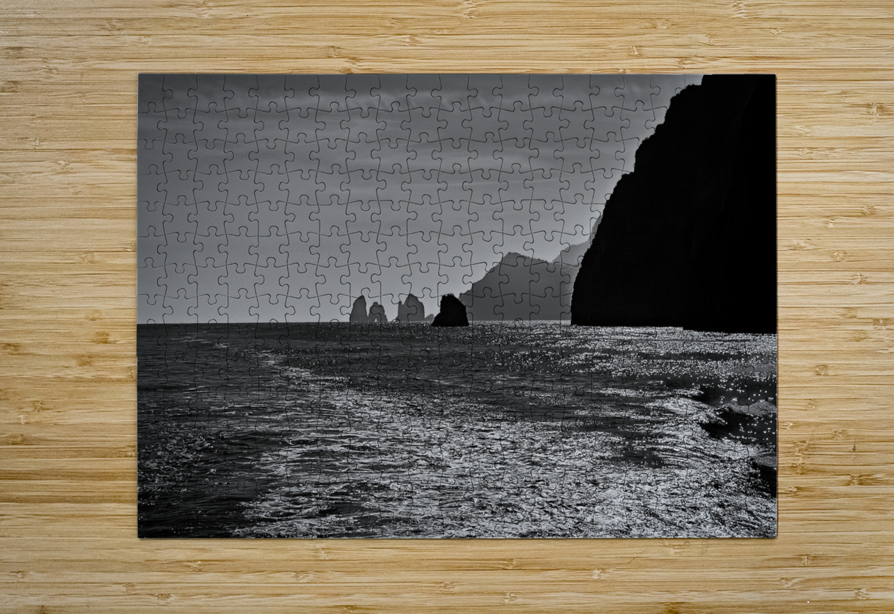 Shimmering Coastline Chirag Pandya Puzzle printing