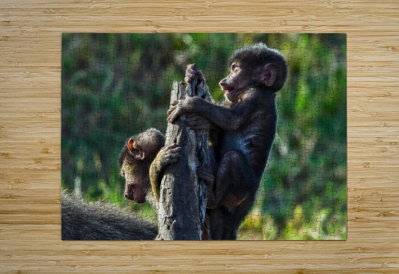 Baboons youth Chirag Pandya Puzzle printing