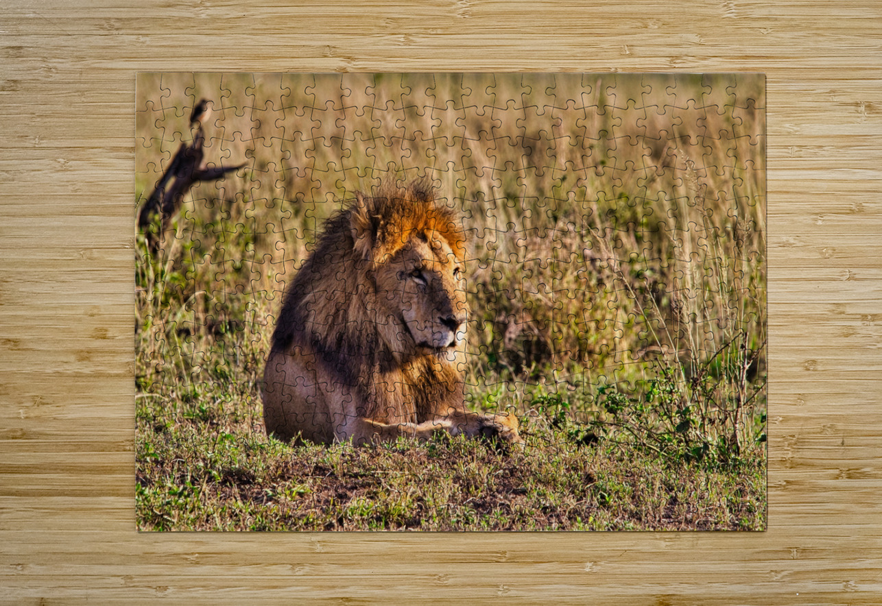 Majestic Morning King Chirag Pandya Puzzle printing