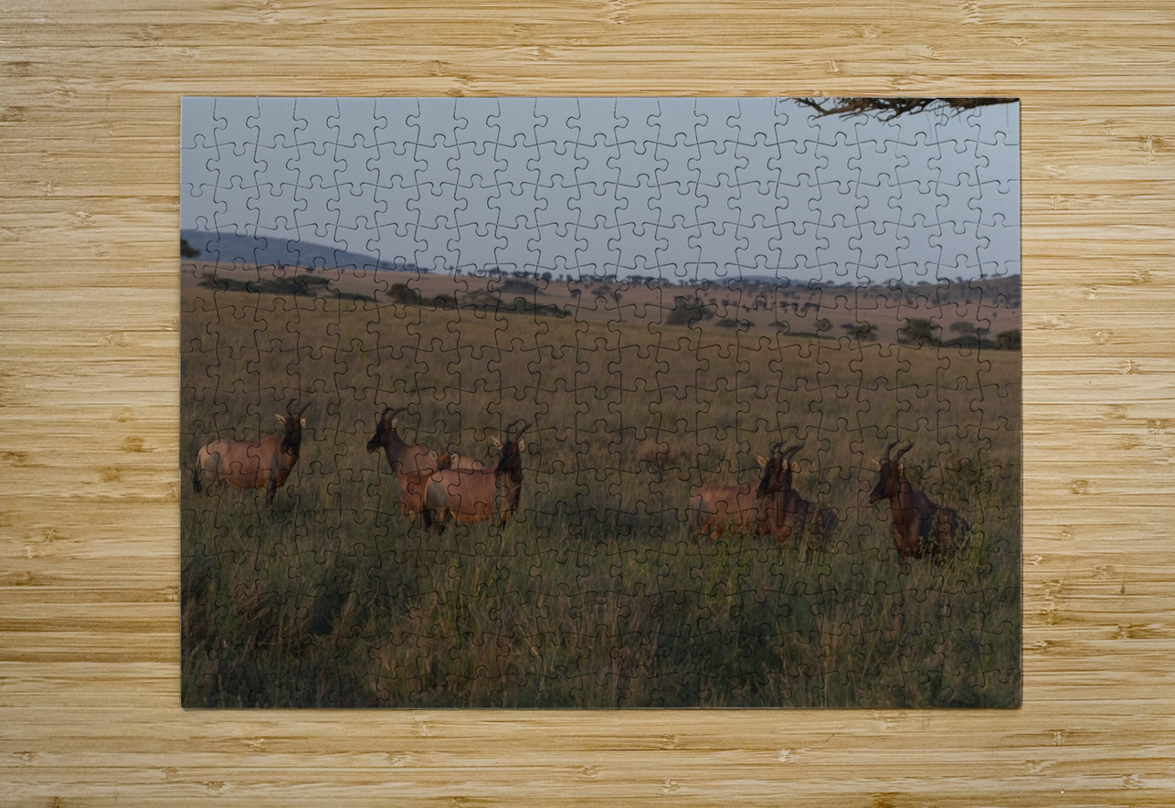 Sentinels of the Plains Chirag Pandya Puzzle printing