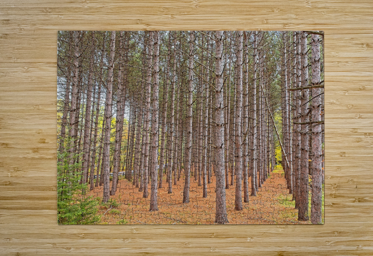 Symmetry of the Woods Chirag Pandya Puzzle printing