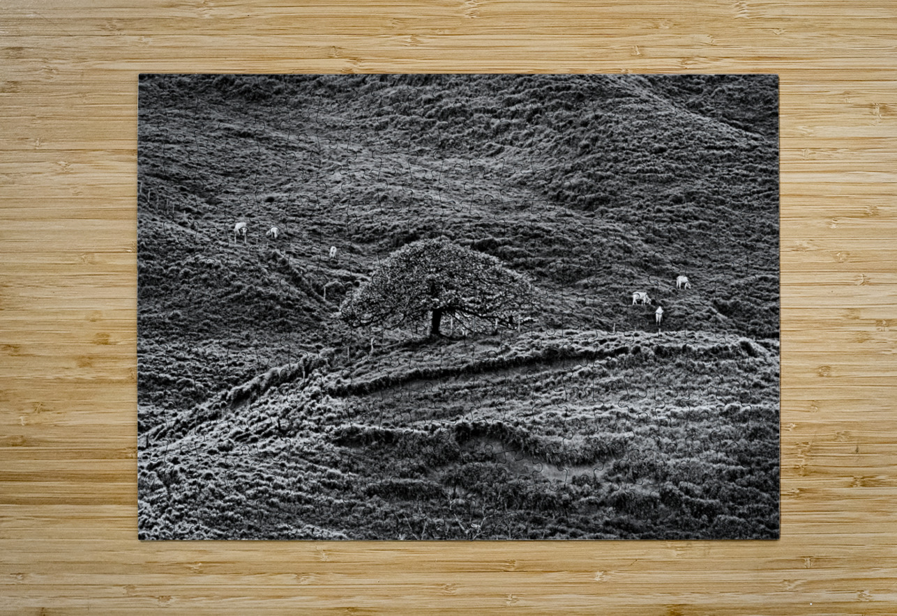 Hills of Time Chirag Pandya Puzzle printing