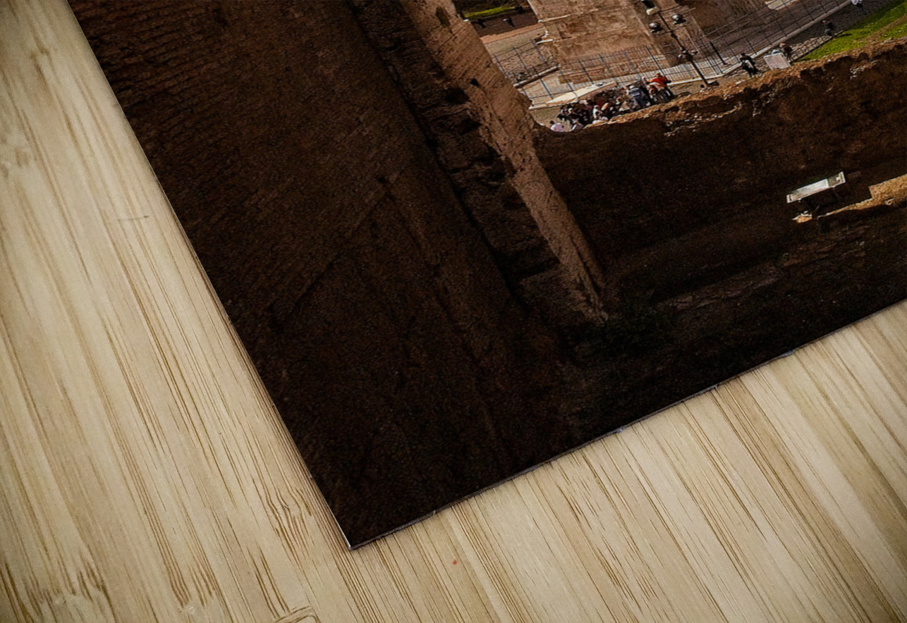 Framed Echoes of Ancient Rome Chirag Pandya Puzzle