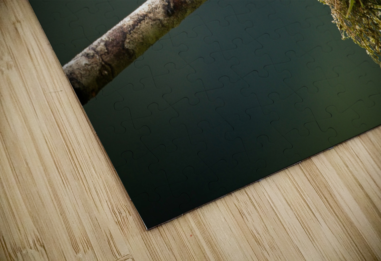 Golden Morning Song Chirag Pandya Puzzle