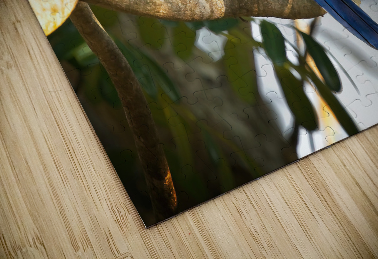 Blue-Crest Sentinel Chirag Pandya Puzzle