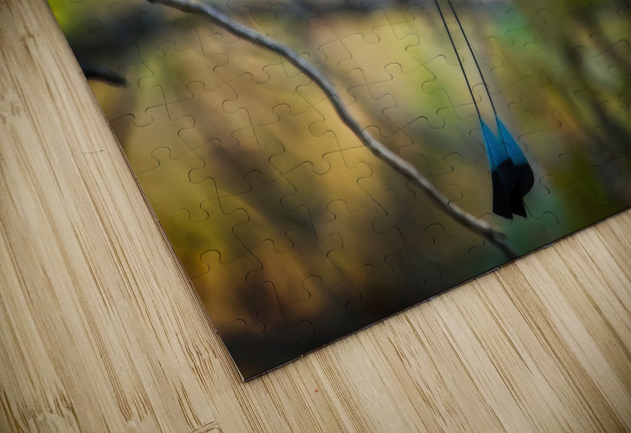 Tropical Whisper Chirag Pandya Puzzle