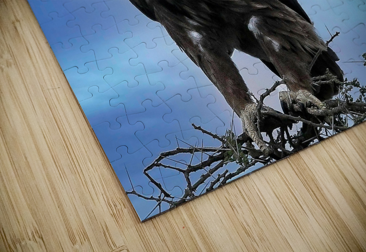 Sky Monarch Chirag Pandya Puzzle