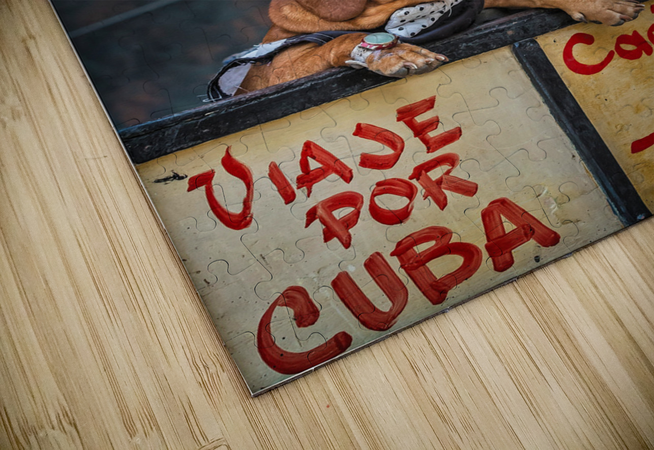 Cuban Companions Chirag Pandya Puzzle