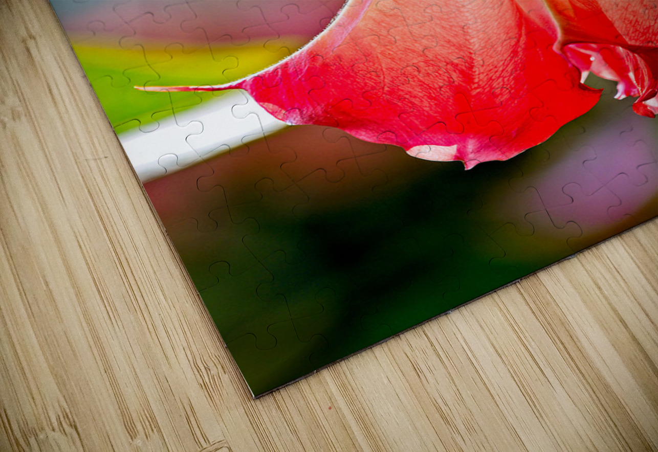 Angel’s Trumpet Glow Chirag Pandya Puzzle