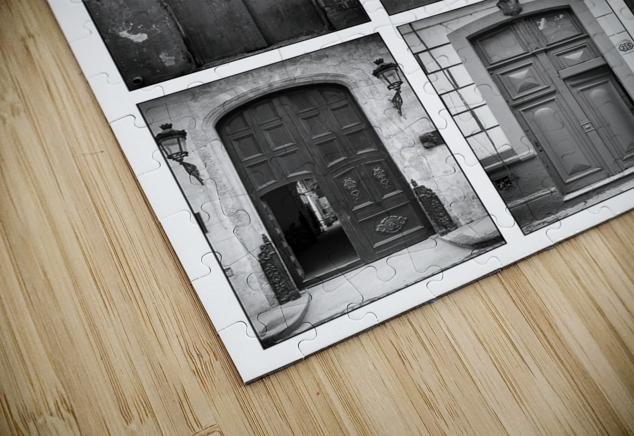 Doors in Black and White Chirag Pandya Puzzle