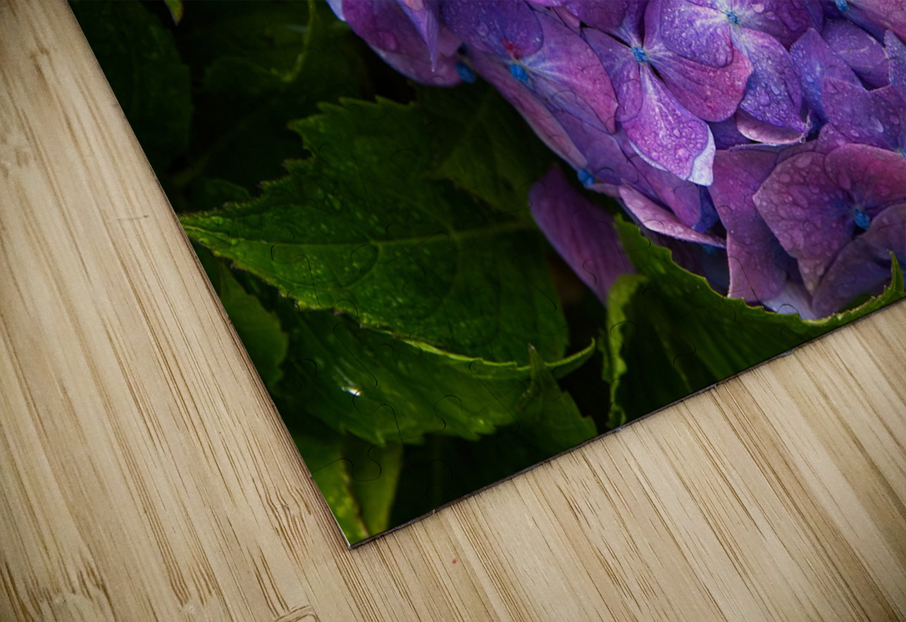 Purple Bloom Chirag Pandya Puzzle