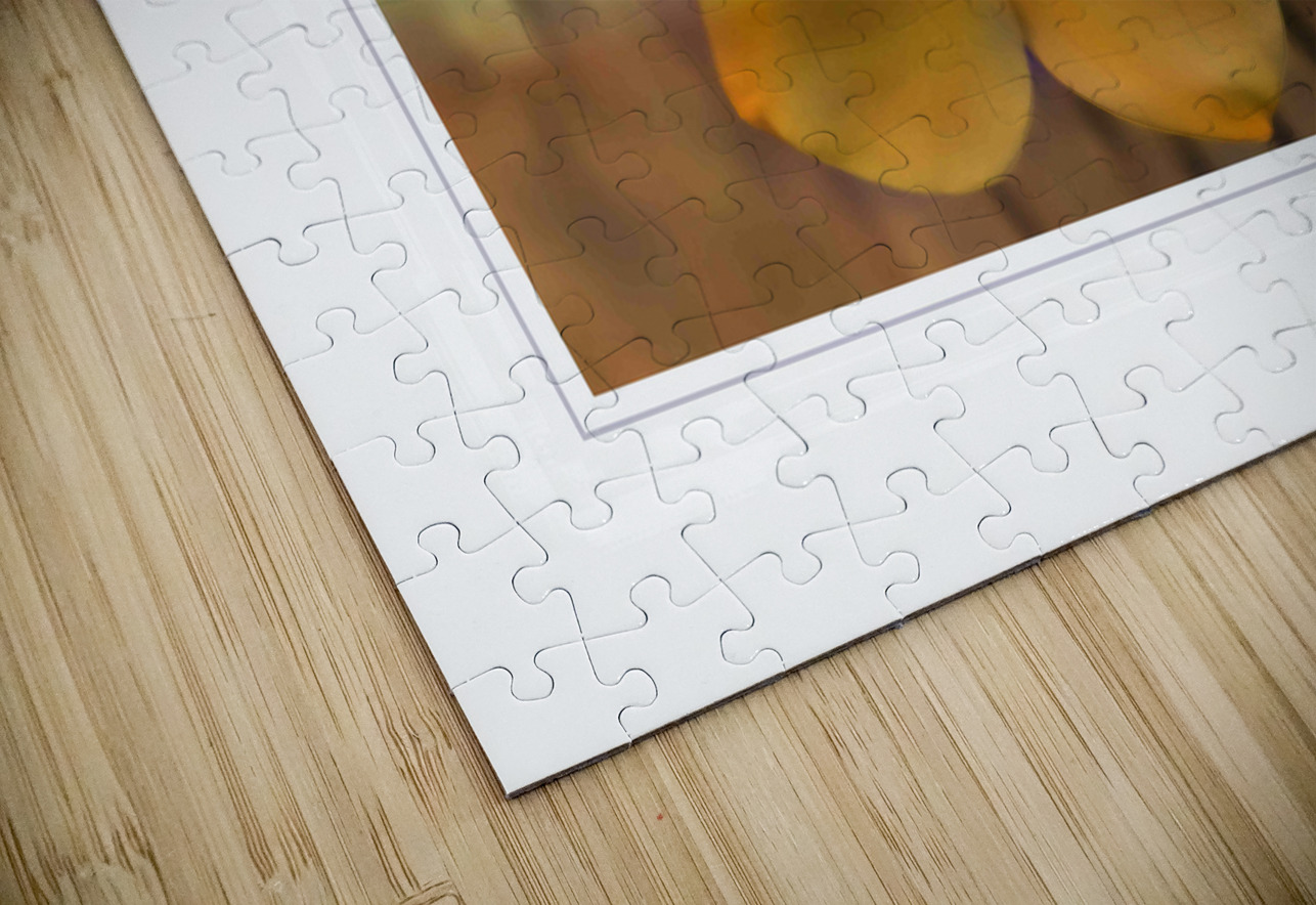 Yellow Flower Glow Chirag Pandya Puzzle