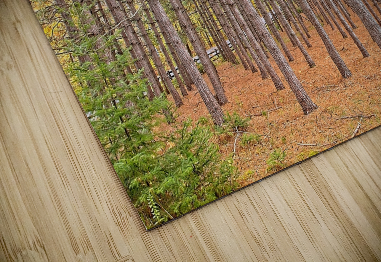 Symmetry of the Woods Chirag Pandya Puzzle