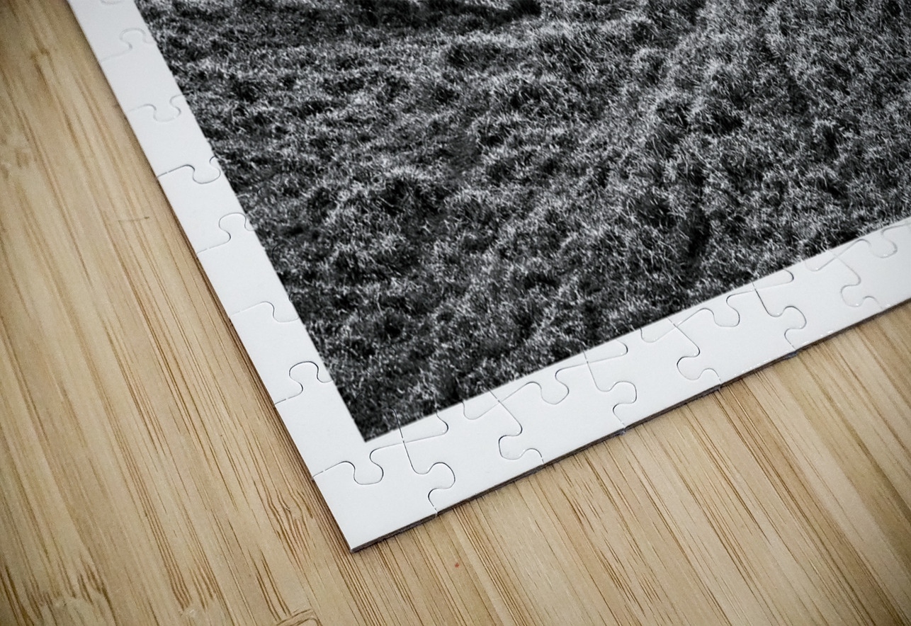 Lone Tree in the Hills Chirag Pandya Puzzle